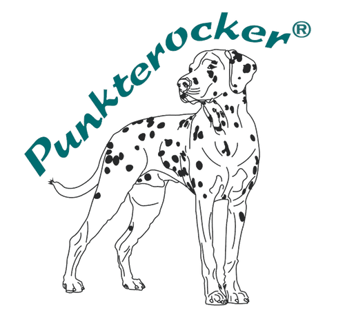 Punkterocker 